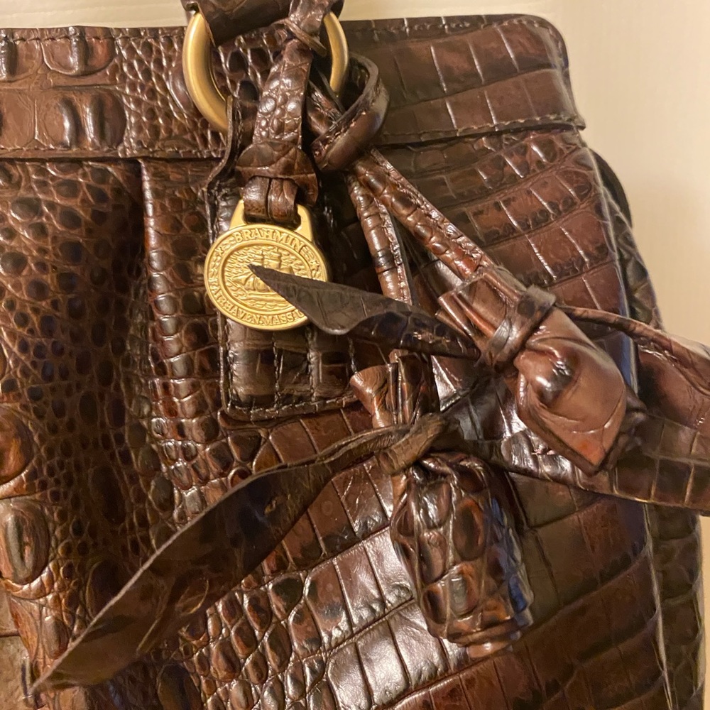 🆕🔥BRAHMIN🔥Eloise Rose🌹Truffle Les Roses - NWT! - Picture 8 of 11